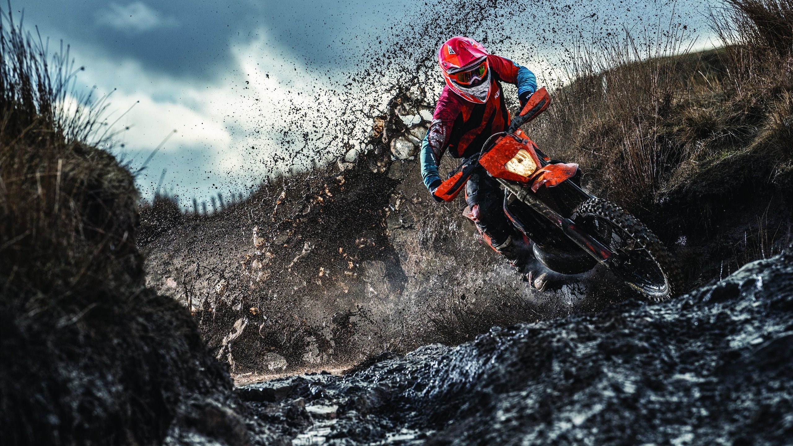 澳大利亚自由泳王牌又一经典之作，澳大利亚自由泳运动员